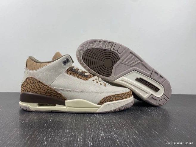 Reps LUCY Palomino 3 Air CT8532-102 Jordan 0816